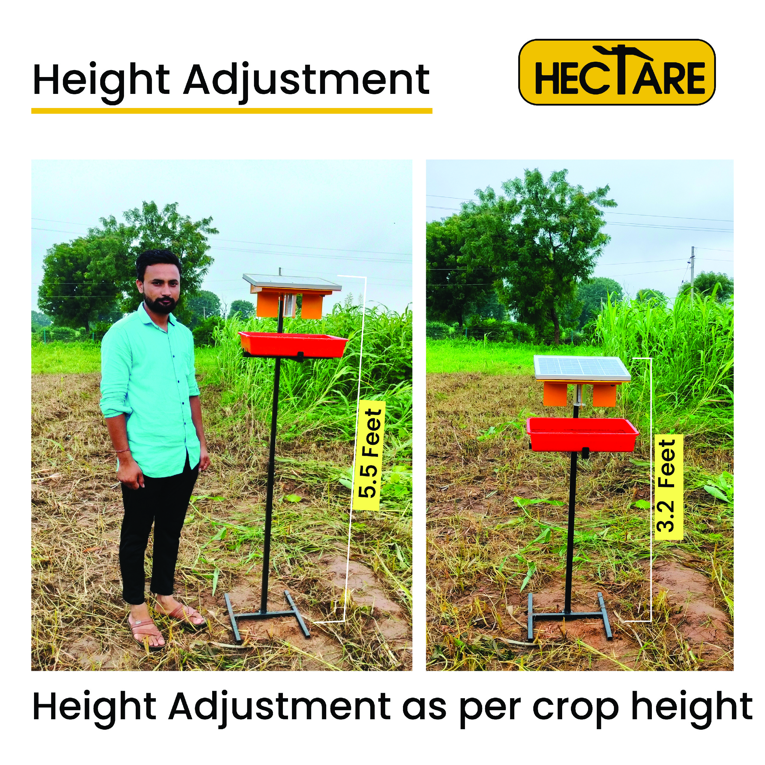 Hectare Solar insect trap 