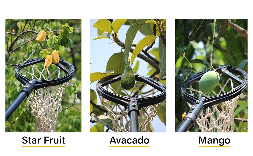 Mango Picker (without Pole)